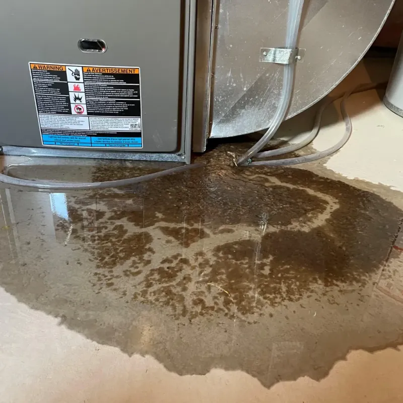 Appliance Leak Cleanup in New Brighton, NY